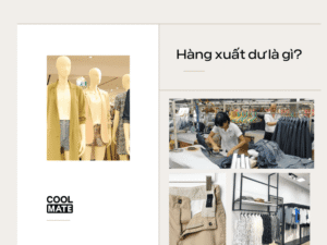 Hàng Hiệu Xuất Dư Là Gì Và Nơi Mua Tốt Nhất